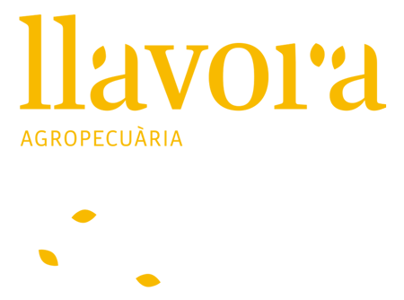 Llavora